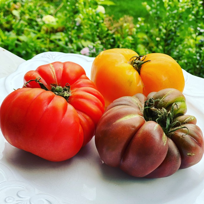 Fresh Tomatoes